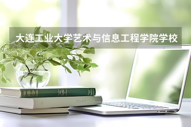 大连工业大学艺术与信息工程学院学校官网地址(评价怎么样)