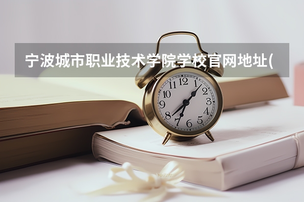 宁波城市职业技术学院学校官网地址(评价怎么样)