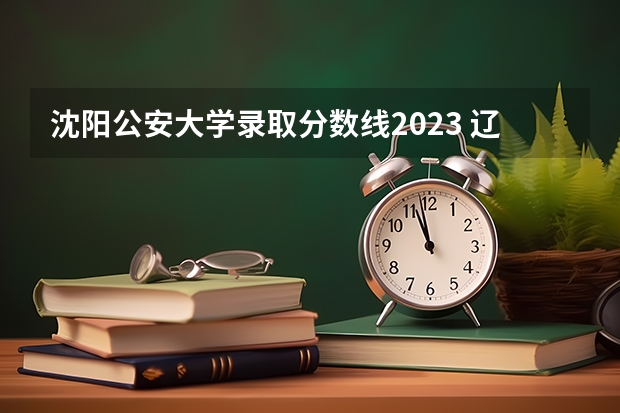 沈阳公安大学录取分数线2023 辽宁警察学院2023分数线